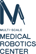 Multi-scale Medical Robotics Center
